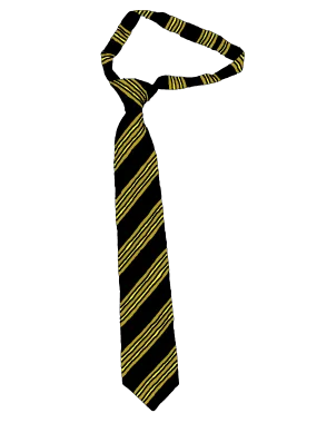 St Aidan's Catholic Academy Velcro Tie (Available in 5 Colours)